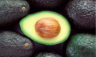 Aguacate Hass