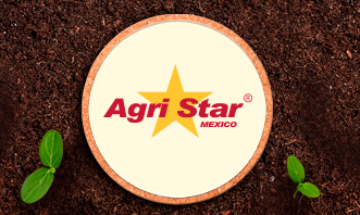 Responsabilidad Social